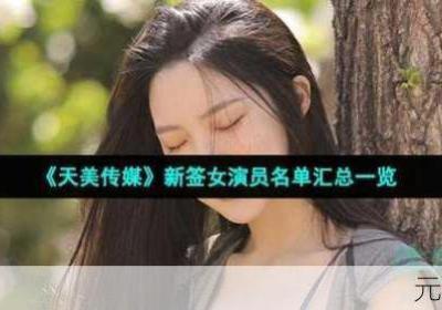 天美传媒有限企业的成立日期