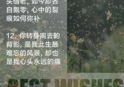 慢慢褪去最后一道防线 慢慢褪去什么意思