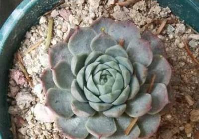 166FUN热点黑料 166fun热点黑料王者