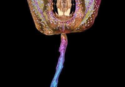 九浅一深与左三右三怎么组合被批没有字幕 九浅一深与左三右三的含义是什么?