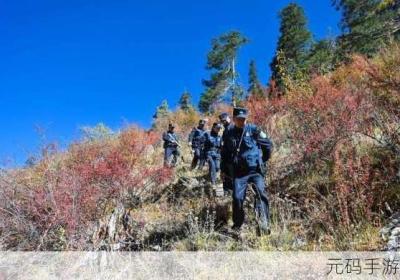 手不安分地探入森林啥子意思 手不安分地探入森林免费阅读 徐小芊