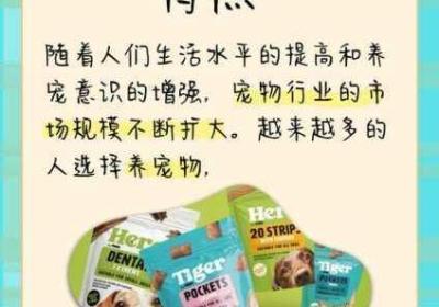 ZOOMSERVO幼儿 zoom最爱儿童创意联盟