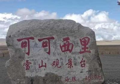 可可西里大但人文艺术传闻主播很多 可可西里大但人文艺术电影