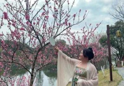 重游妈妈桃花源 妈妈在桃花源