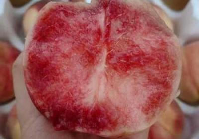 香蕉樱桃水蜜桃猕猴桃菠萝视频 香蕉樱桃可以一起榨汁吗