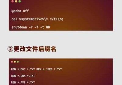 python人狗大战精彩瞬间 python人狗大战精彩瞬间的来源和背景介绍