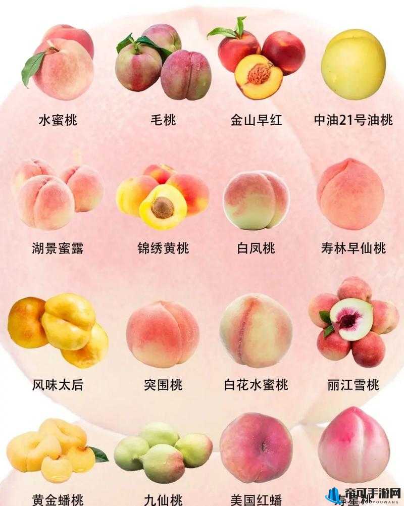 日本桃子品种排名前十名图片：优质桃品大赏