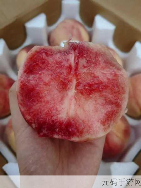 香蕉樱桃水蜜桃猕猴桃菠萝视频,1. "热带水果盛宴:香蕉与水蜜桃的甜蜜邂逅