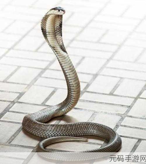 蛇王的尾巴高ah,1. 蛇王的尾巴:神秘力量背后的故事