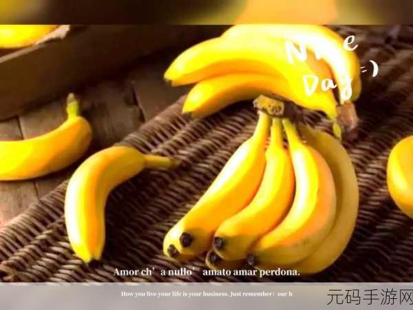 茄子丝瓜草莓榴莲石榴,1. "探索茄子与丝瓜的美味搭配秘诀