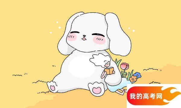 河北高考302分左右的理科大学名单（2023-2024年）(图1)