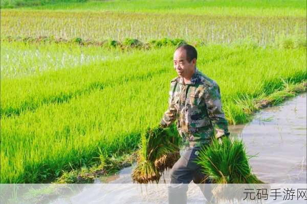 情侣的一百种插秧法，1. 情侣插秧：爱的田园诗篇