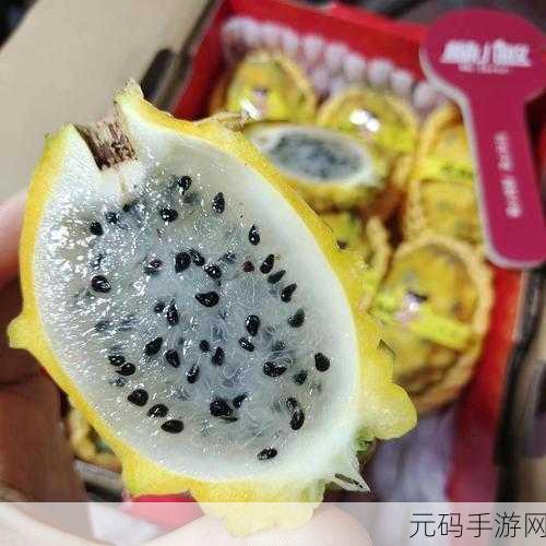 苏家有女黄心火龙果，1. 《苏家有女：黄心火龙果的成长故事